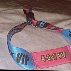 Lollapalooza Bands
