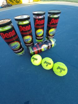 Used Tennis Balls  To Play With Your Dog  🐕