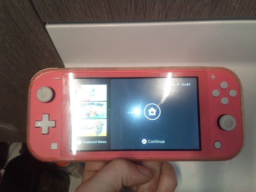 Nintendo Switch Lite With Borderlands 2 And No Charger