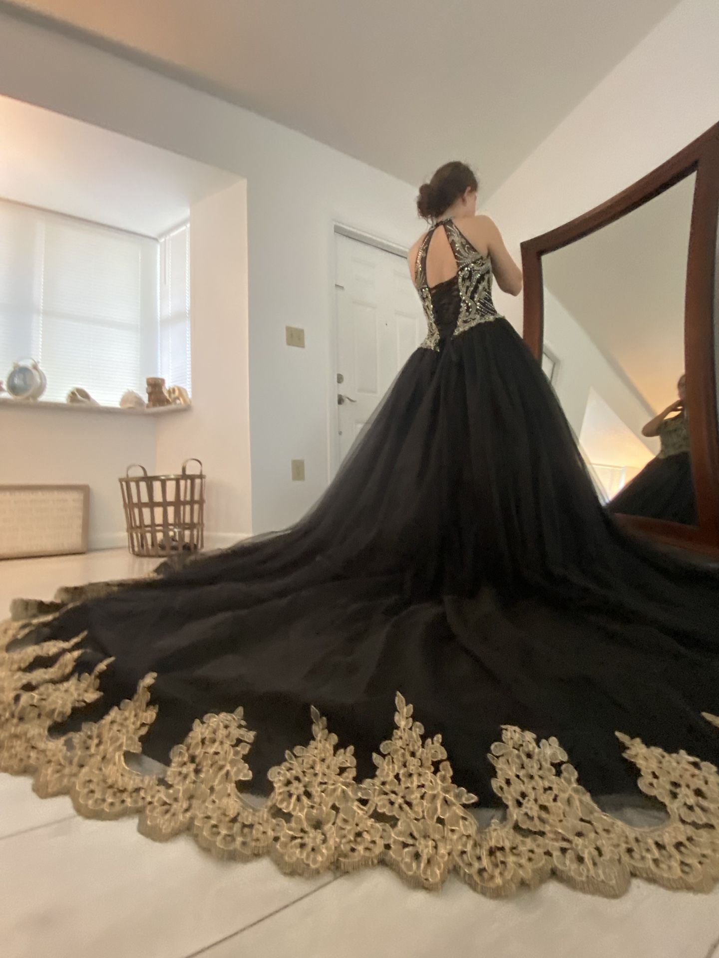 Quinceanera/Quince Dress