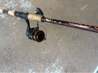 Diawa BG reel , with a gold cup rod