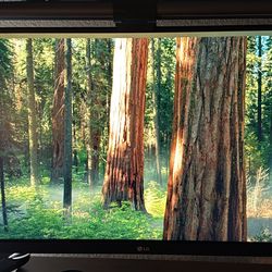 LG Ultrawide 29” monitor