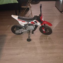 Extreme Racing Off-road Electric Bike