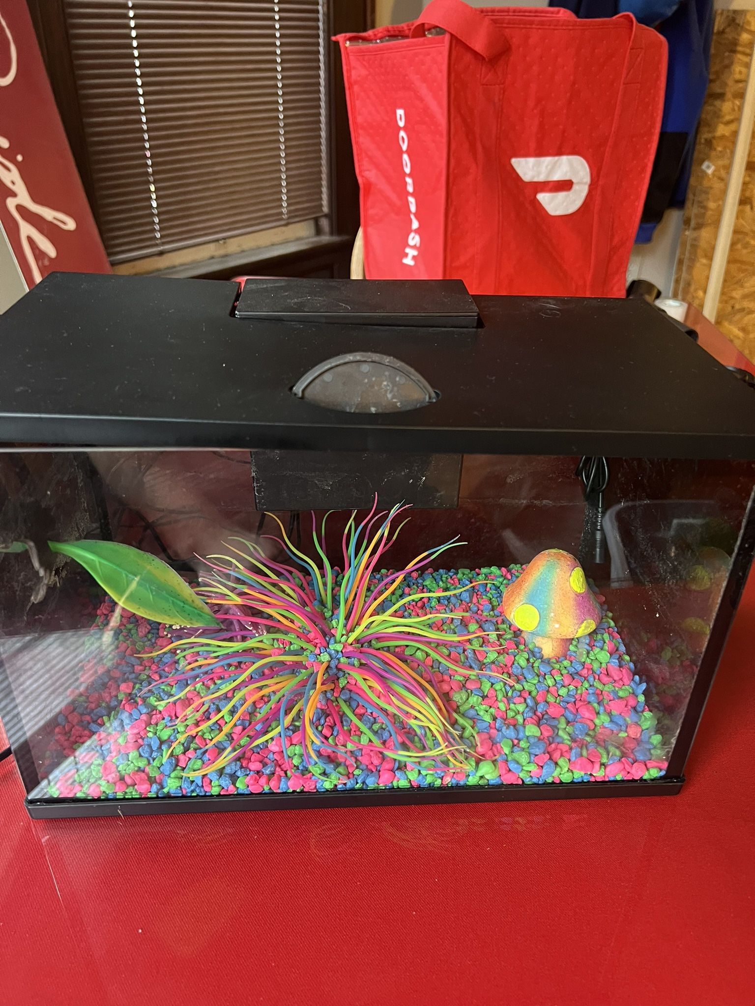 Neon Fish Tank
