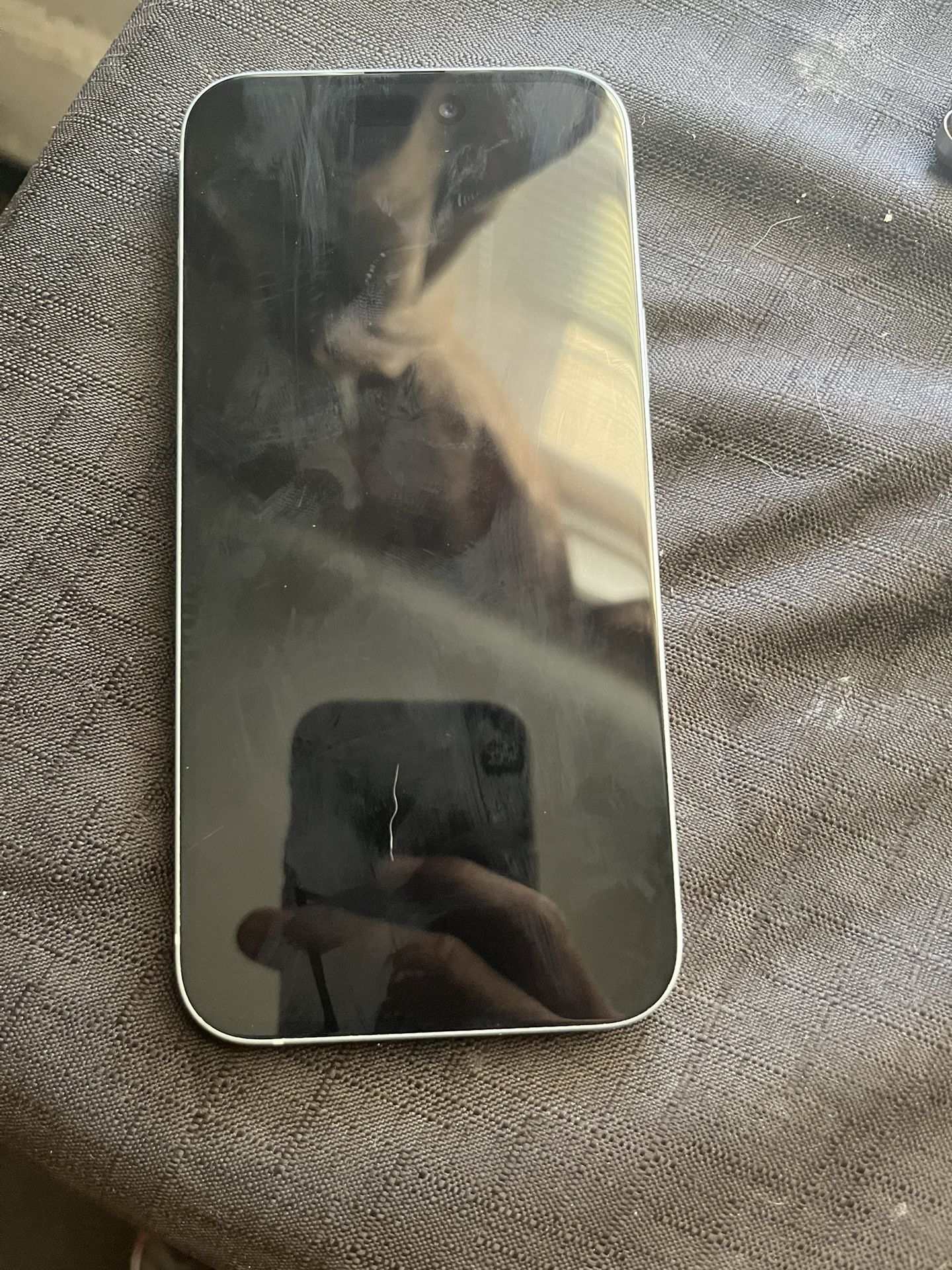 iPhone 15 Plus