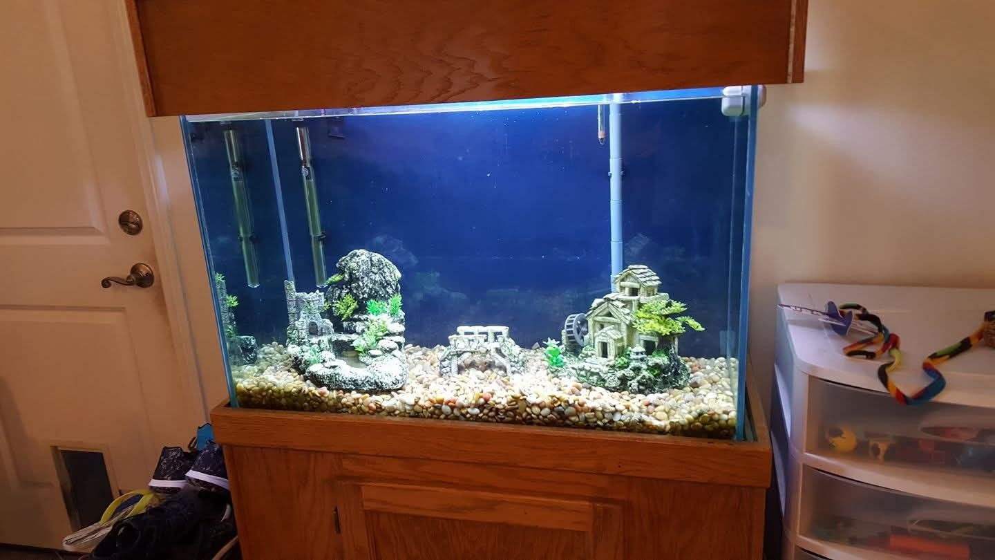 Aquarium Fish Tank With Stand & Canopy