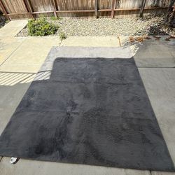 Plush Indoor Rug - Need gone today (Friday)
