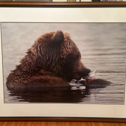 Thomas Mengelsen Prints