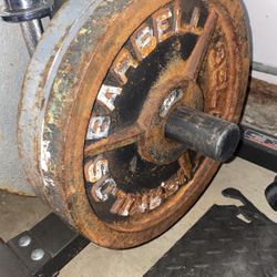 35 Lb Plates Iron