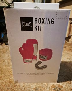Pink Everlast Boxing Kit