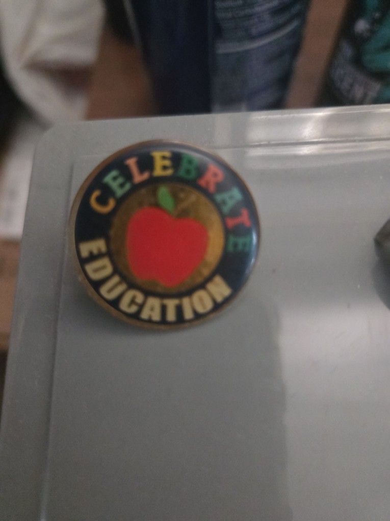Celebrate Education Pin / Apple Pin