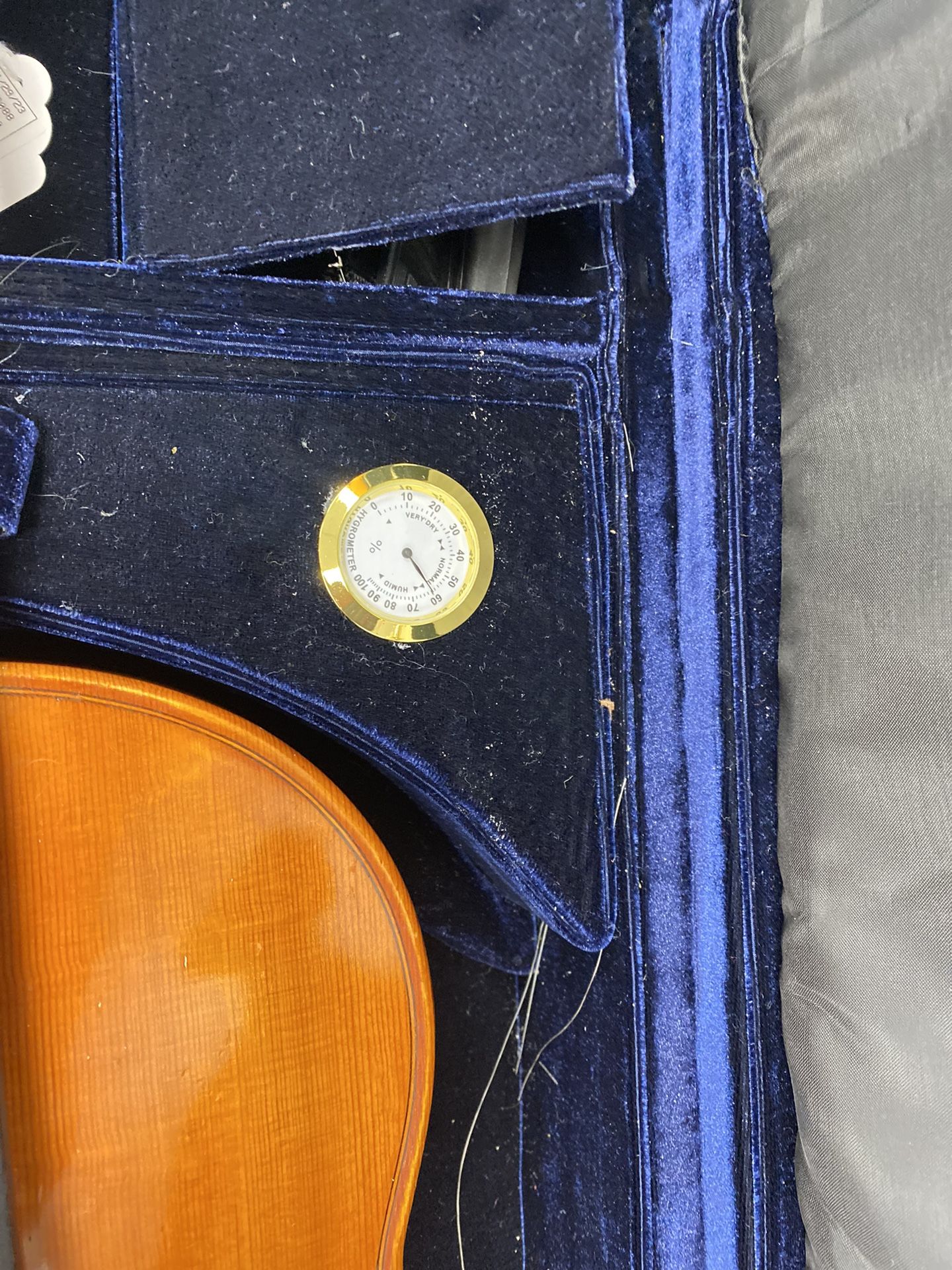 Viola Samuel Eastman Violin for Sale in Winstonsalem, NC OfferUp