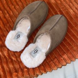 Uggs 