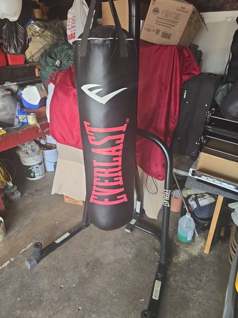 Everlast Punching Bag