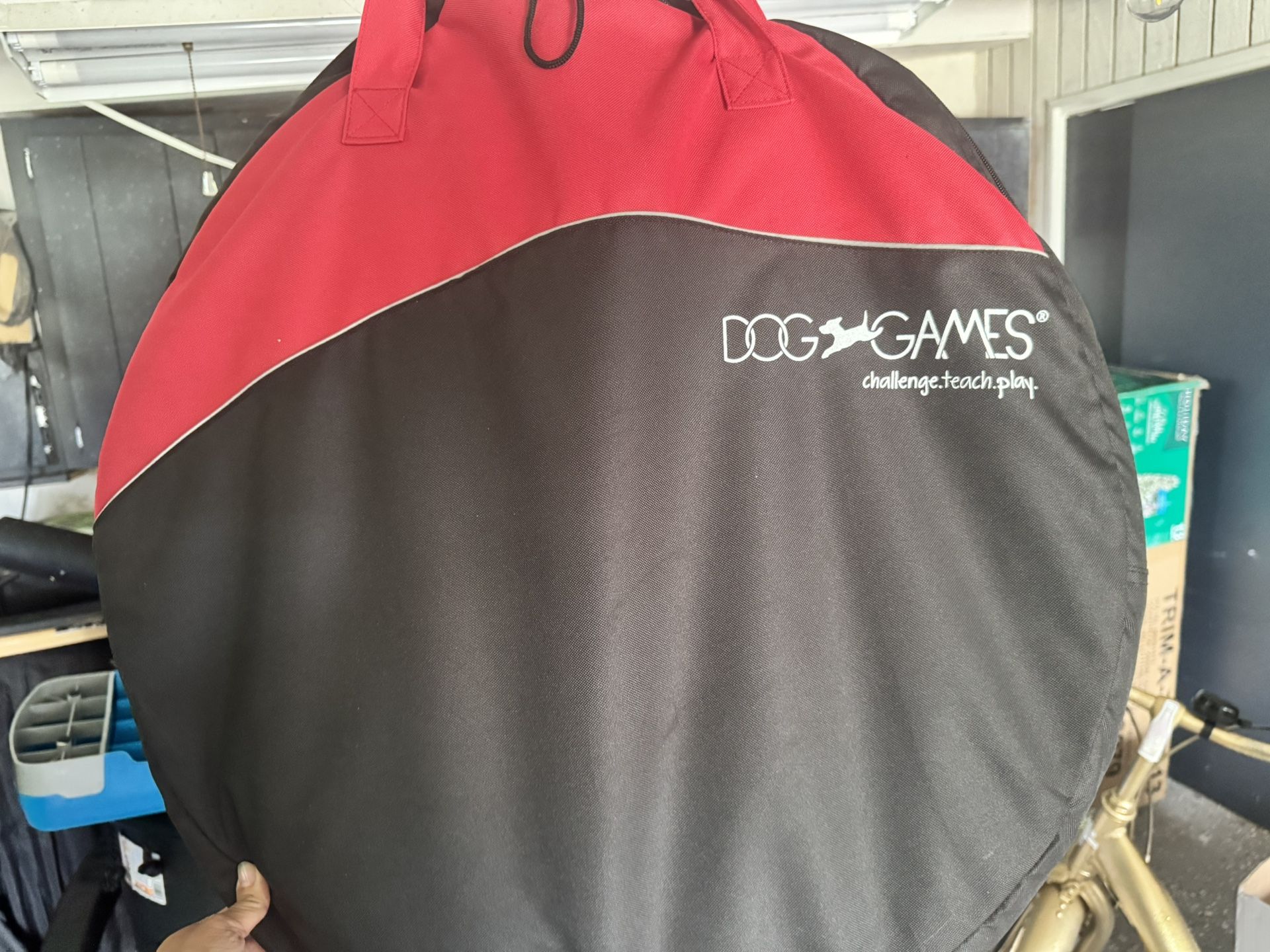 Dog Games Agility Course