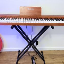 Donner Keyboard- 88 Keys 