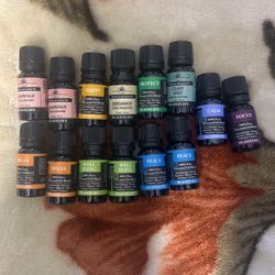 focus essential oils 