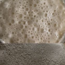 Sourdough Starter Live Or Dehydrated
