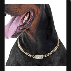 Diamond Dog Gold Chain Collar - 10mm Shiny Luxury Necklace Jewelry for Pets, 16 inch