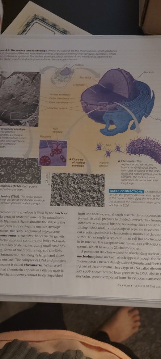 Biology 112, Third Edition