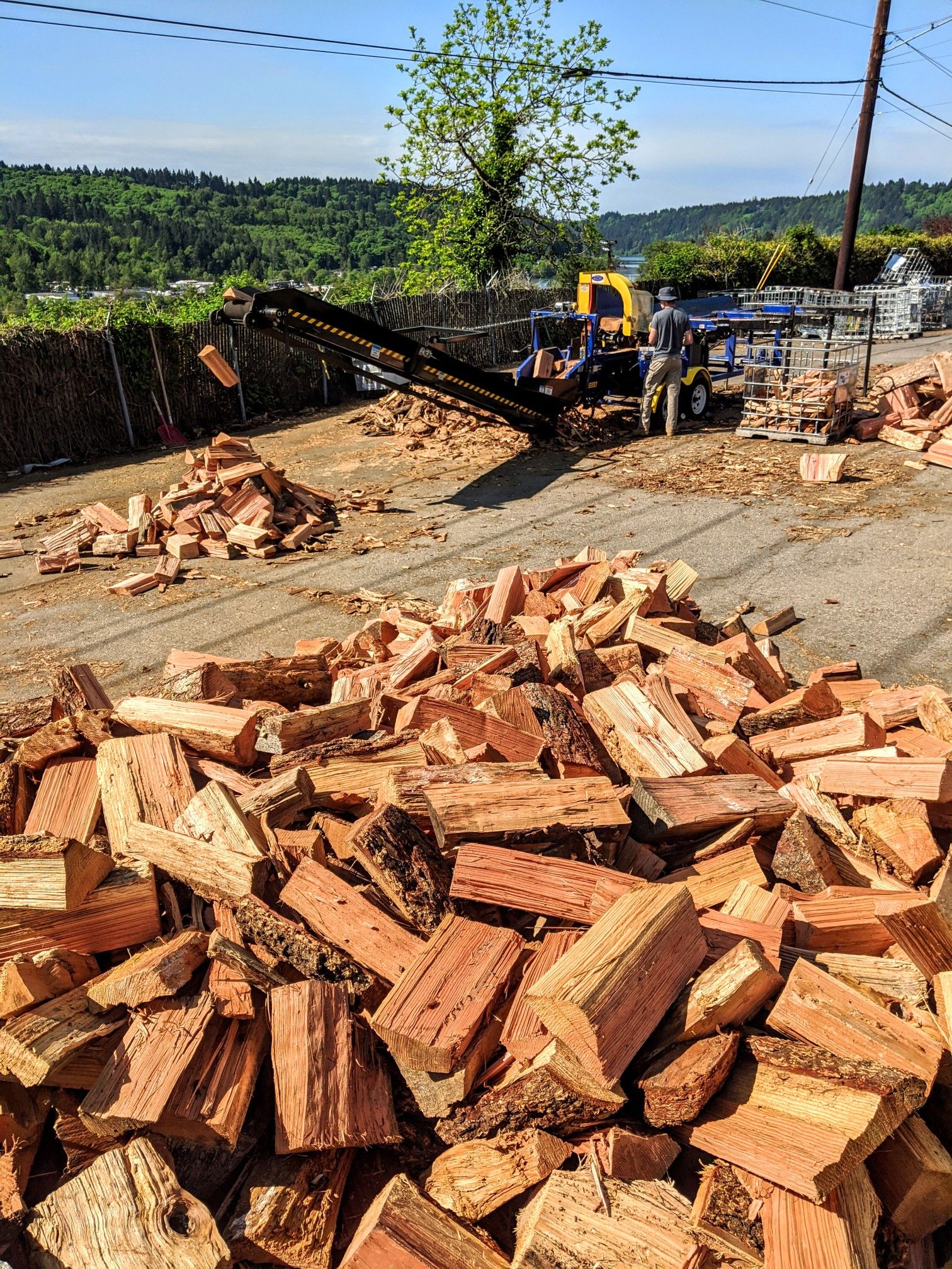 FIREWOOD FOR SALE