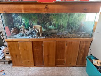 Fish tank/ reptile tank