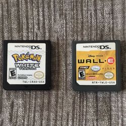 Nintendo DS