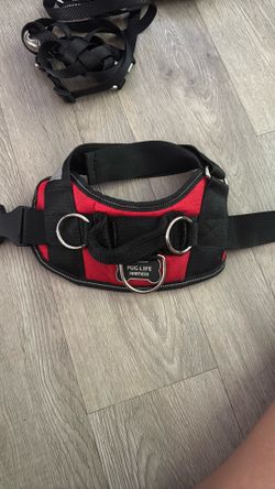Dog harness