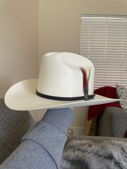 Sombrero Johnson Sinaloa