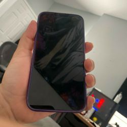 IPhone               13            Pro            Max             Unlocked 