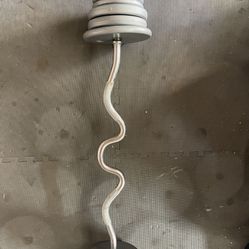 Weight Plates / Curl Bar.      75 Dollars 