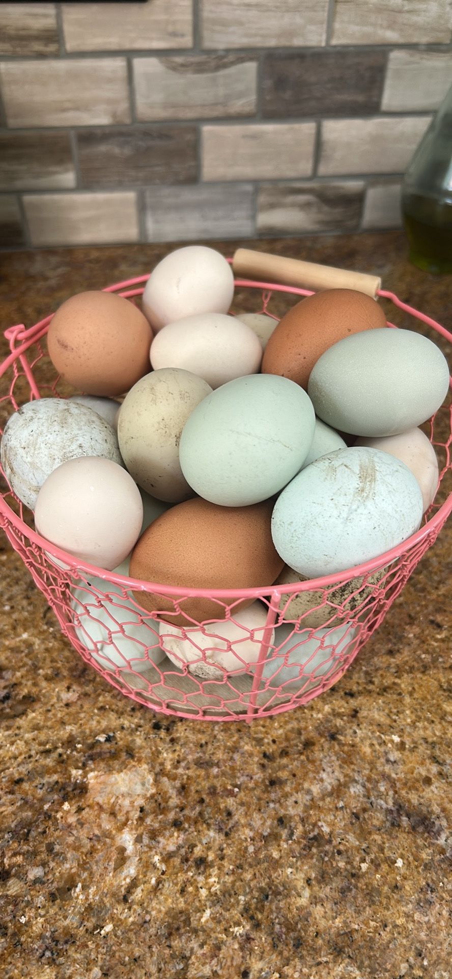 Fresh eggs