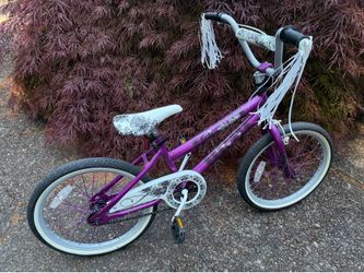 20” bike