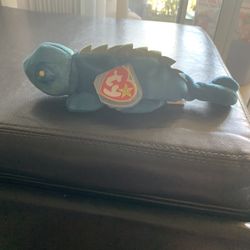 Iggy the iguana