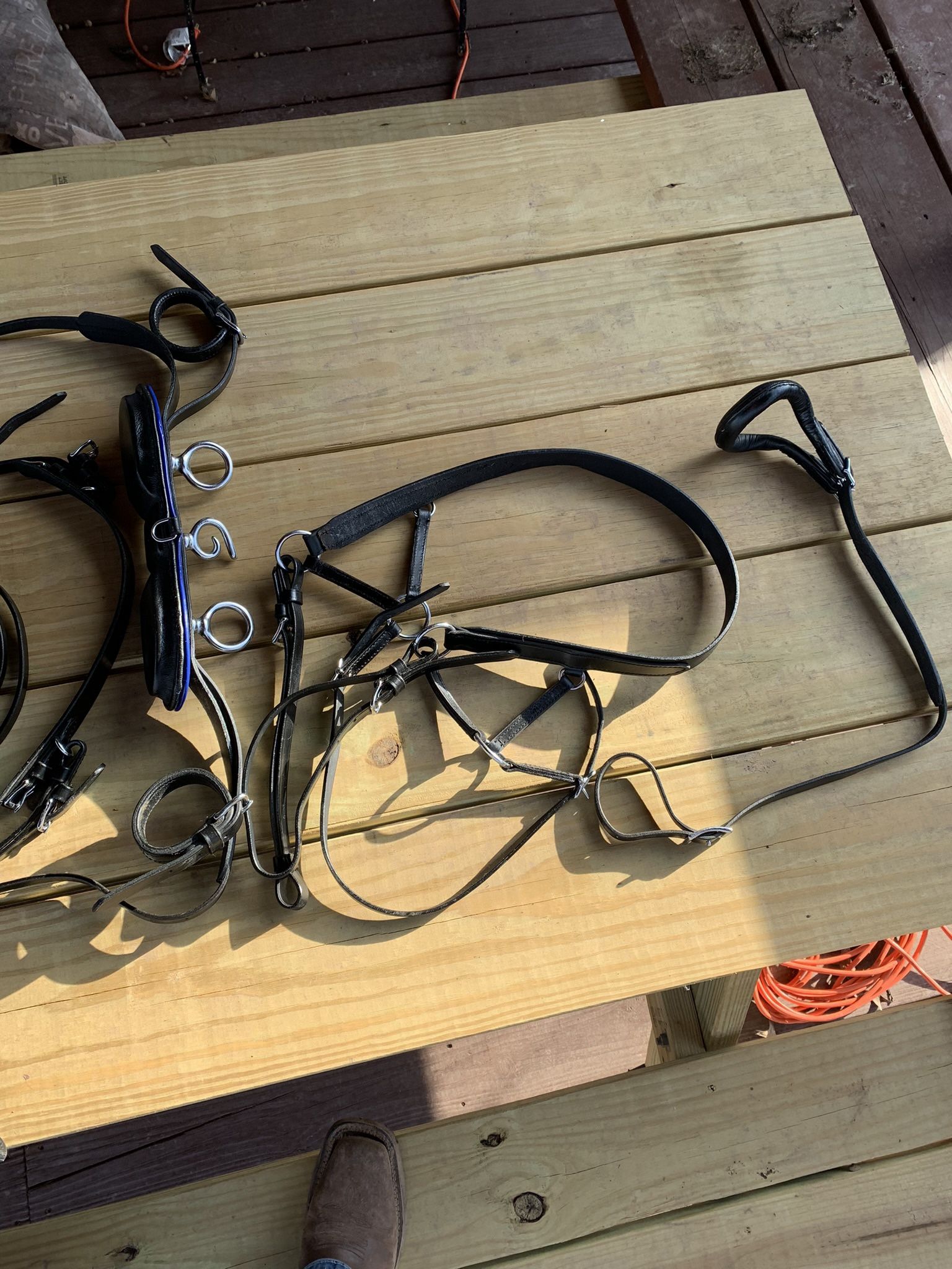 Large Pony Harness