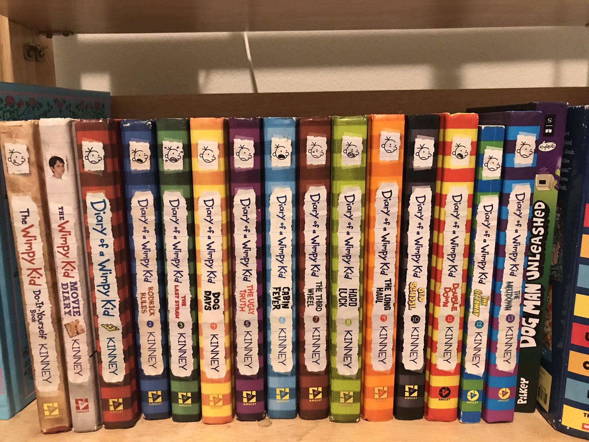 Diary of Wimpy kid(1-13& movie)