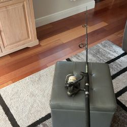 6 ft. 6 inch Montague Rod and Reel for Saltwater fishing