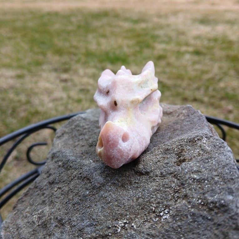 Dragon Head