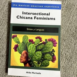 Intersectional Chicana Feminisms book