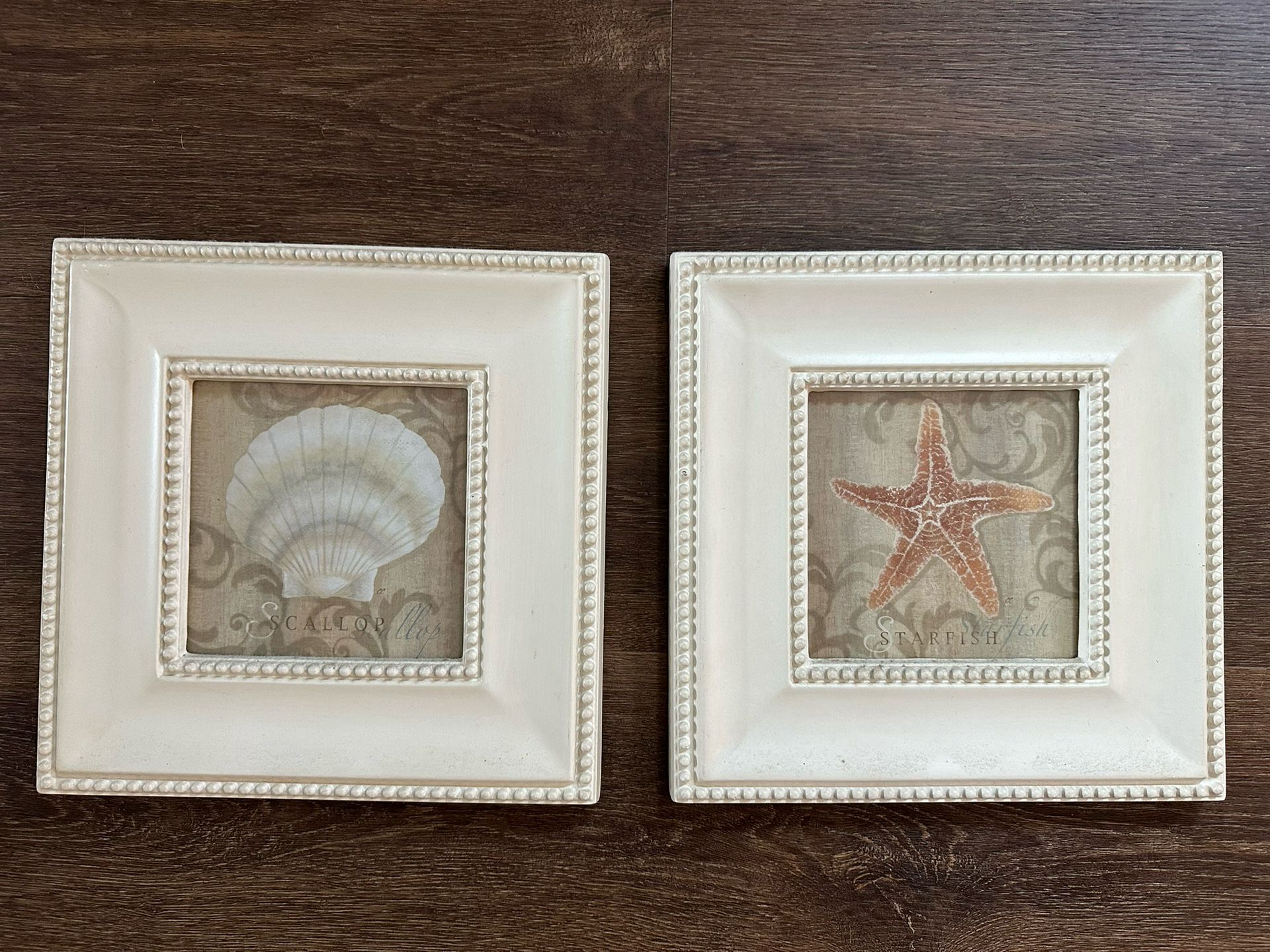 Framed Sea Creature Art