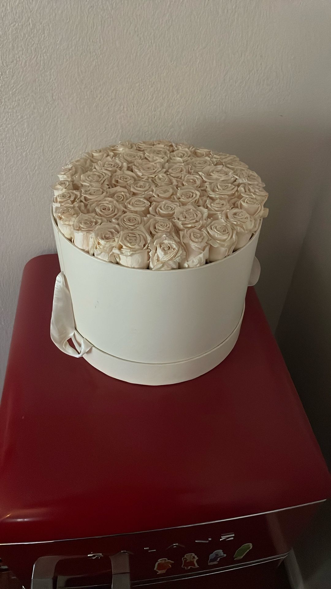 Preserved Rose Box White