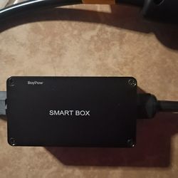 The RoyPow Smart Box 