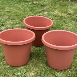 Big flowers planters $30 for all