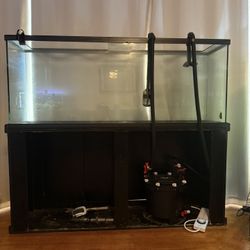 100 Gallon Aquarium With Stand, Filter And Fluval AQUASKY Light