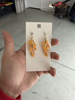 Earrings