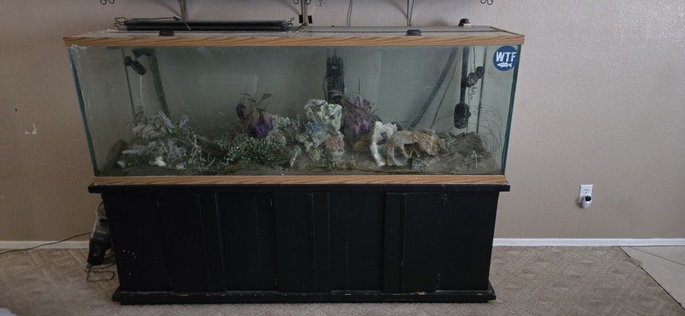 140 Gallon Aquarium