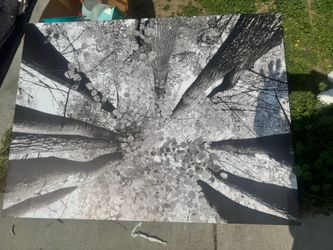 Large Canvas Painting