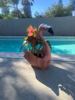 Flamingo pot  $45