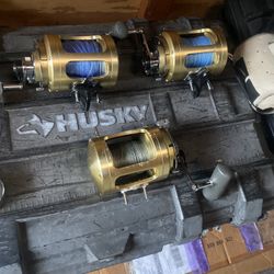 shinano tiagra 50w new versions 