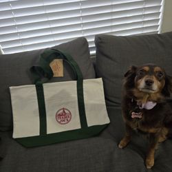 Trader Joe’s  Large Tote Bag Green / Cream with Red Logo